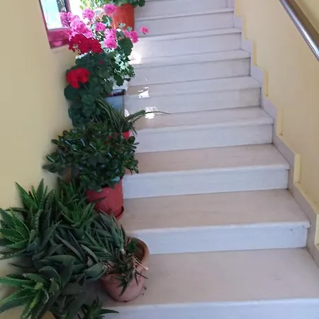 Fatos Biti Maison d'hôtes *