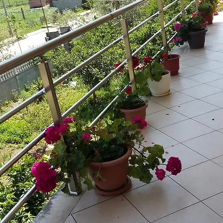 Fatos Biti 4* Divjaka