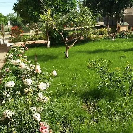 Fatos Biti 4* Divjake